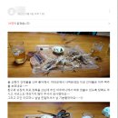 해성농수산물 네이버블로그