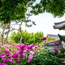 풍덕상회