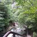 구룡계곡 순환코스 이미지