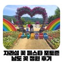 가평 가볼만한 곳 내돈내산 남도 꽃 정원 자라섬 꽃축제, 자라나루 카페 후기