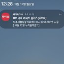 원주더봄동물의료센터 이미지