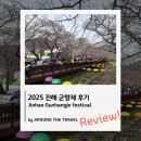 사방하천 | [국내축제리뷰] 2025 진해 군항제 후기 #AK8102
