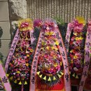 조앤조연합치과의원 이미지