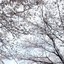구례구역 관광안내소 이미지