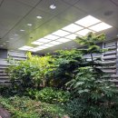 올림픽공원역 1번출구 이미지