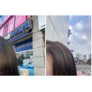 마포별빛약국 | [25.2월] 재회와 만회 그리고 기회