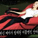힐링훼미리 이미지