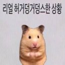 듀듀