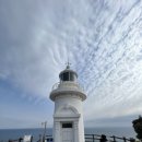 제주 트윈즈 이미지