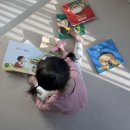 JOO 강아지미용실 | 세이펜 호환되는 아기별그림책으로 책육아 해볼까요?