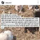 태인보건진료소 이미지