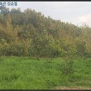 용흥리축사 이미지