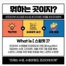 스크린수영장 스윔핏 이미지