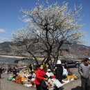 녹색농원 이미지