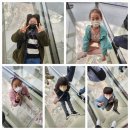 은평 백호 태권도장 이미지