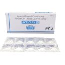 창원동물약국 이미지