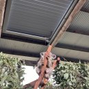 먹이팜 | 호주 시드니 동물원 추천 오크베일팜 (feat. 코알라, 캥거루 먹이주기)