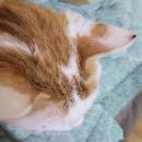 이샘병원 | 이샘병원 갑상선암 수술 후기