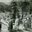 상생과 공존 이미지