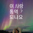 엠에스디스트리파크(주) | 이사통 촬영지 어디? 캐나다 캘거리 밴프 필수 여행지 & 가성비 투어 총정리