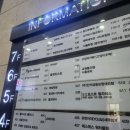 배곧 고양이카페 &#39;고양이주택&#39; 솔직후기