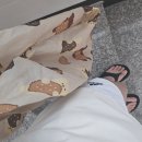 Last Summer