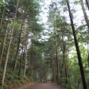 잣나무약수터 이미지