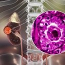 한길요양병원 이미지