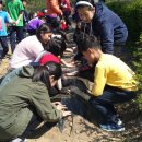 답내초등학교 이미지