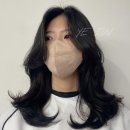 살롱알제