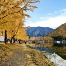 한지체험박물관 이미지