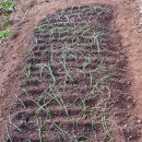 연화민박 이미지