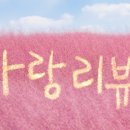 미다모아 이미지