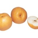 경부축산 이미지