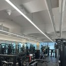 정관장 GYM 이미지