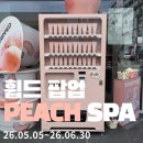 성수 휩드 팝업 솔직 후기🍑 피치페어 향은 좋았지만 현장 웨이팅은 아쉬웠다...