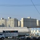 꽃과나무 | 하남화훼단지 꽃과나무 쇼핑 내돈내산 후기