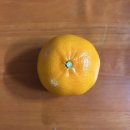 황금돼지PC방 | 너의 온기로 세상과 부딪히는 날 꼭 안아줘