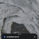 난리나유