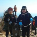 봉암동297 이미지