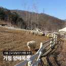 아담 목장 | 가평 아이랑 가볼만한 곳 서울근교여행 가평 양떼목장 음료무료 쿠폰 사용법 주차 후기