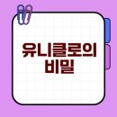 유니클로의 성공과 논란 깊이 살펴보기