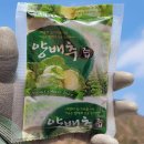 산드리약초