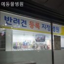 예 동물병원 | 광산구동물병원 예동물병원 솔직후기