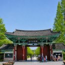 [전주 가볼만한곳] 어른이 가도 재밌는 전주동물원 &amp; 드림랜드 후기