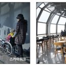 삼육오펜션 이미지