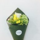 프리지어 이미지
