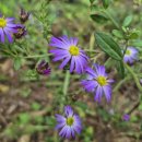 청하농장 이미지