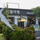 [구좌읍 맛집] 제주도 보약 특산품 꿩엿 꿩 음식 사월의꿩