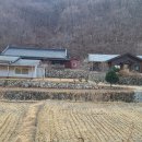 도진(박달2리) 이미지